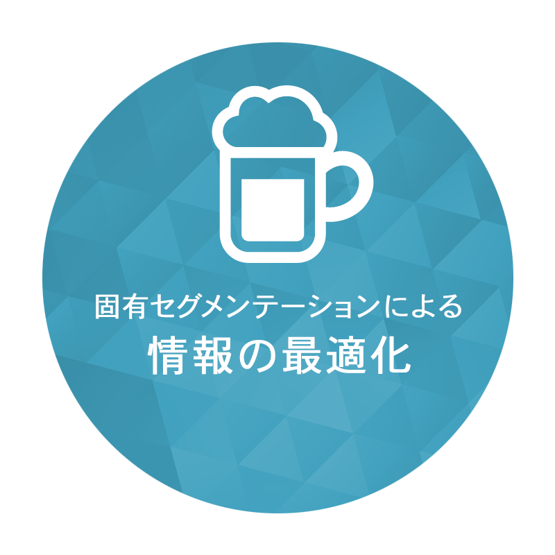 固有セグメンテーションによる情報の最適化